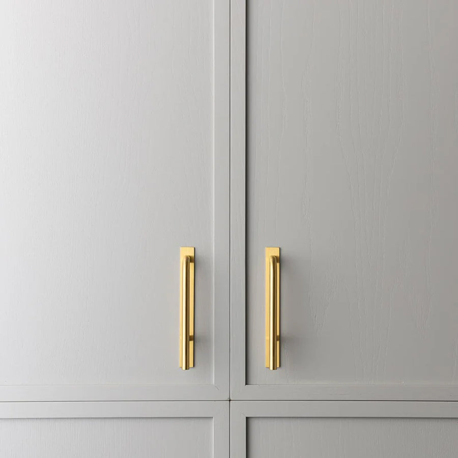 Brera Cabinet Pull and Backplate