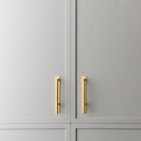 Brera Cabinet Pull and Backplate