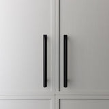 Brera Cabinet Pull and Backplate