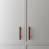 Brera Cabinet Pull and Backplate