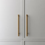 Brera Cabinet Pull and Backplate