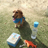 Doggy Beach Day Kit