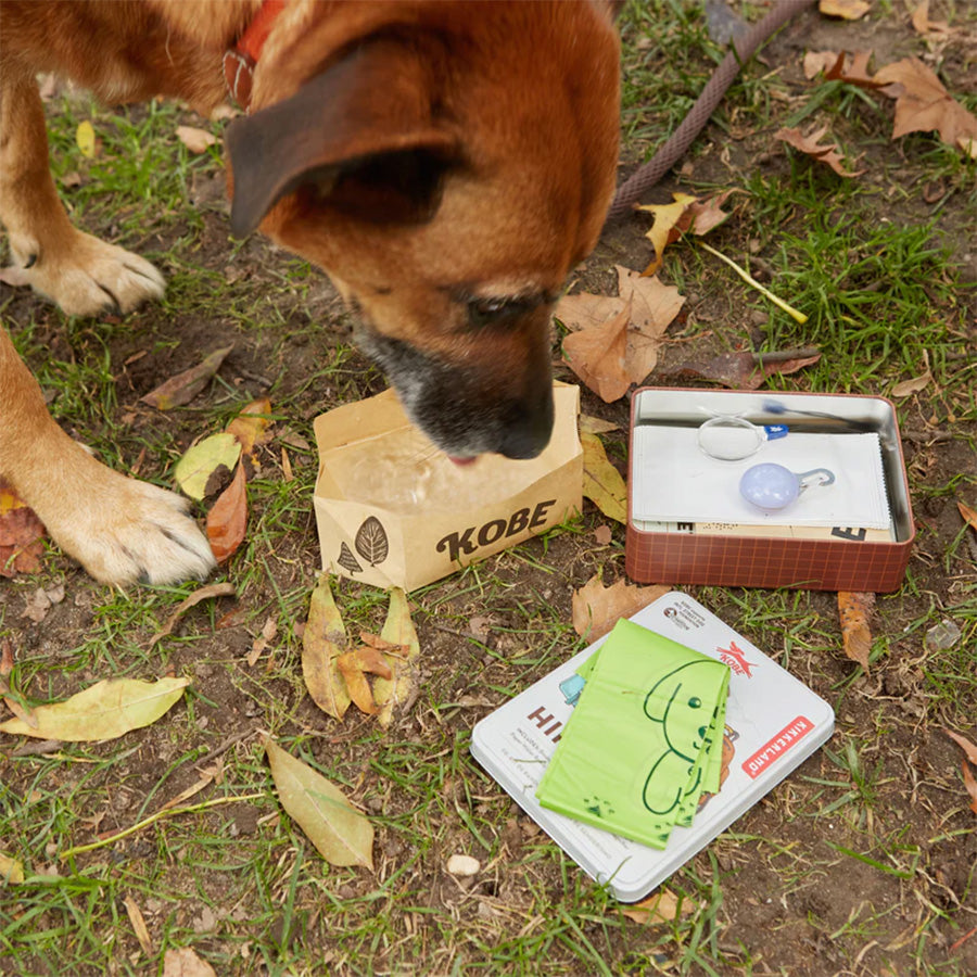 Doggy Hiking Kit