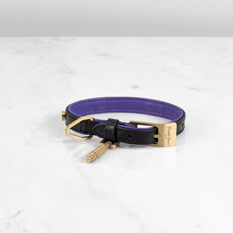 Buster Black and Purple Dog Collar