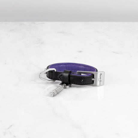 Buster Black and Purple Dog Collar