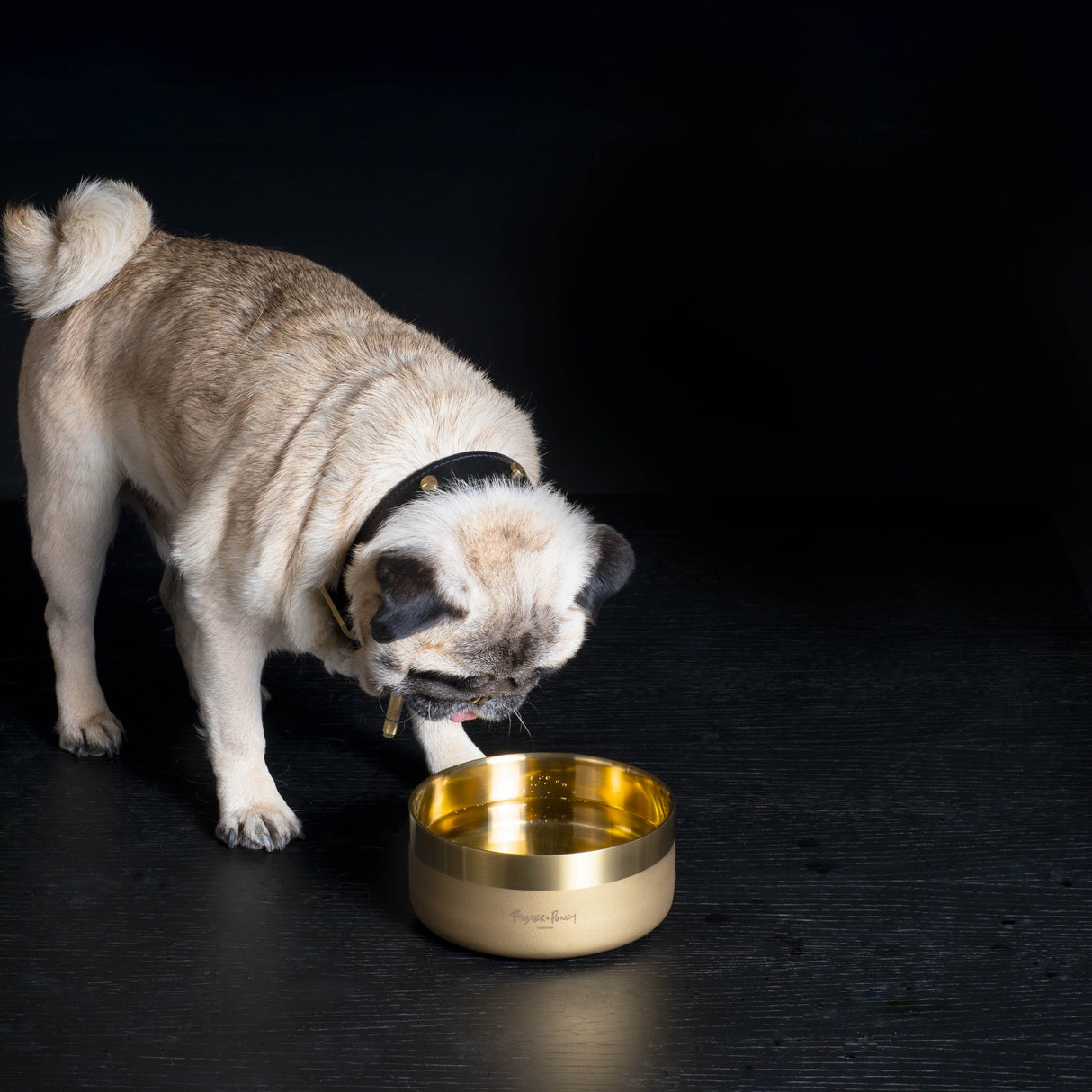 Buster Pet Bowl