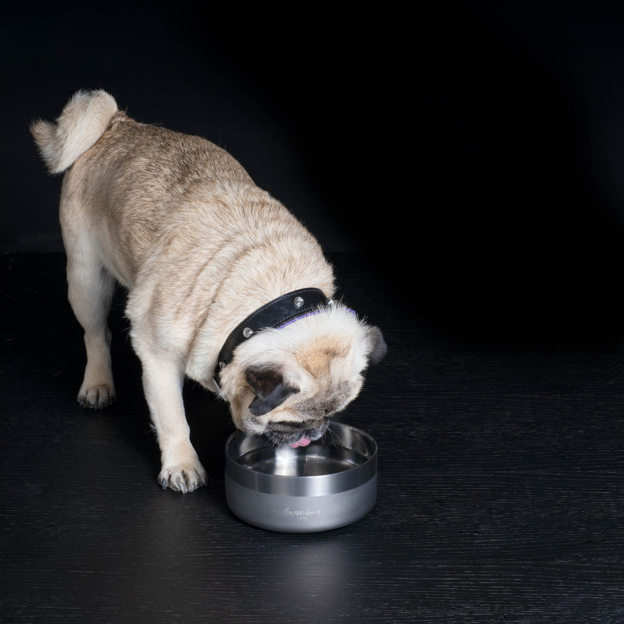 Buster Pet Bowl