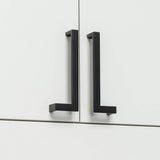 J L Series Stainless Steel Cabinet Pull